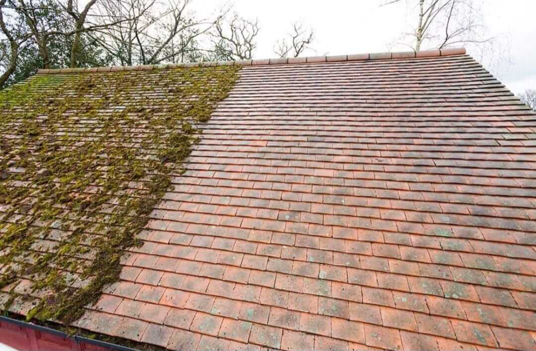 Roof Cleaning